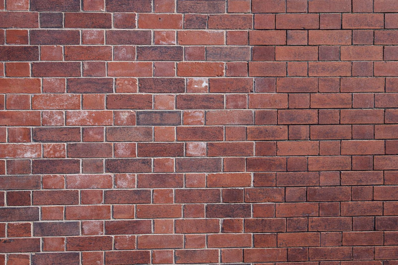Masonry restoration in Spring Hill, FL
